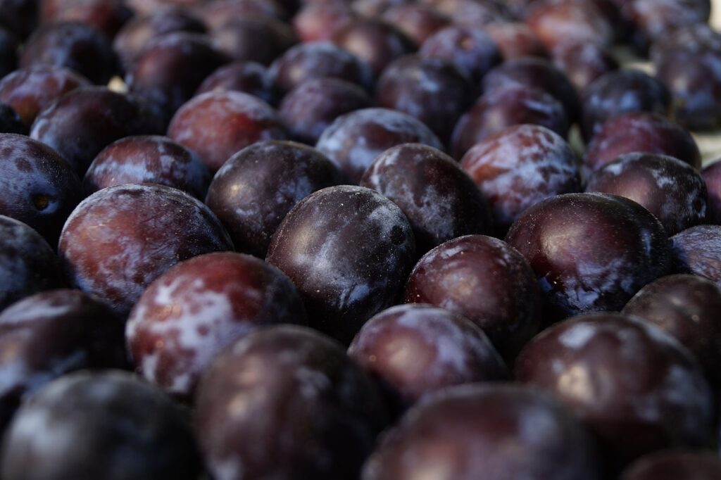 plum, fruit, ripe, food, sweet, plum, plum, plum, plum, plum