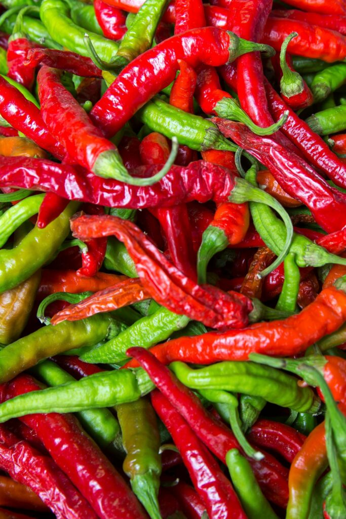Close-up of vibrant red and green chilies showcasing freshness and spice.